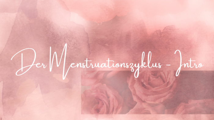 Menstruationszyklus – Intro